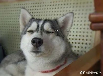 我研究了近20年的泡妹教程|冷段子1404去年今日1094