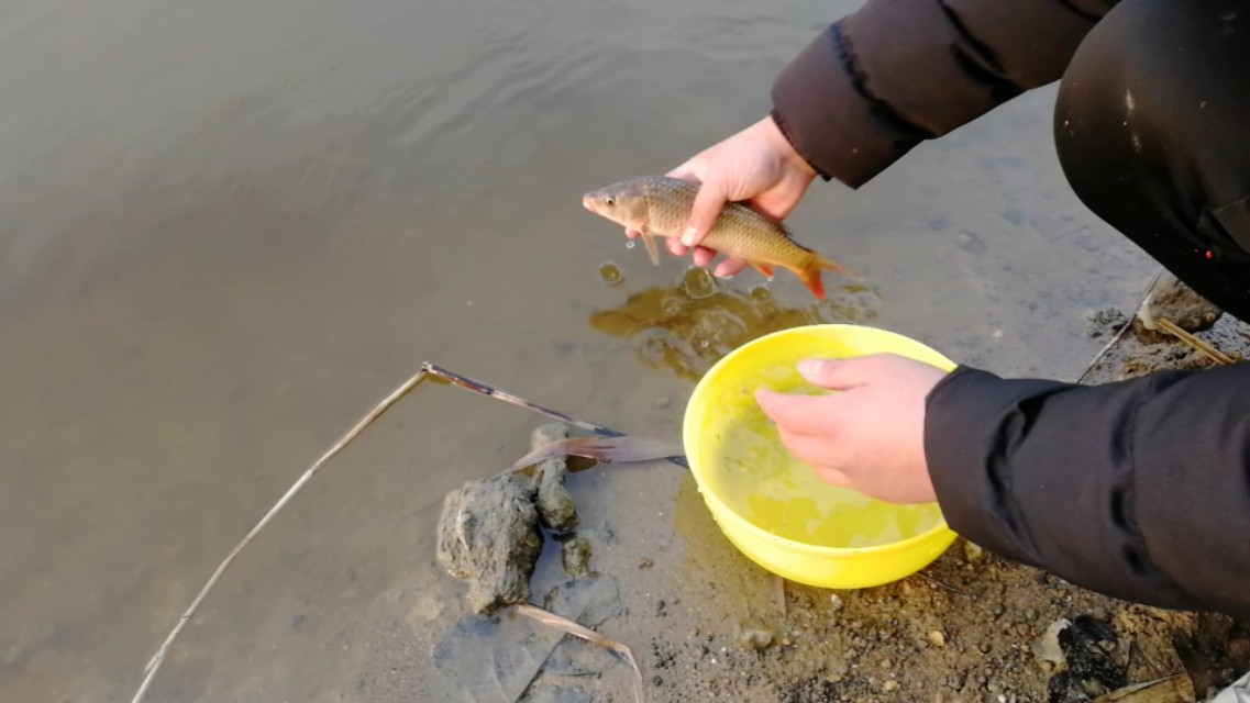 春季玩串钩,新式串钩的垂钓方法