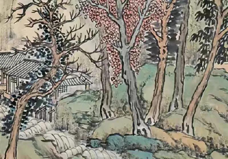 十大悬案杀妻案,民间奇案杀母案