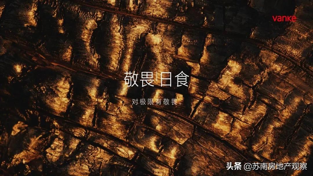 万科能不能入手,万科热销