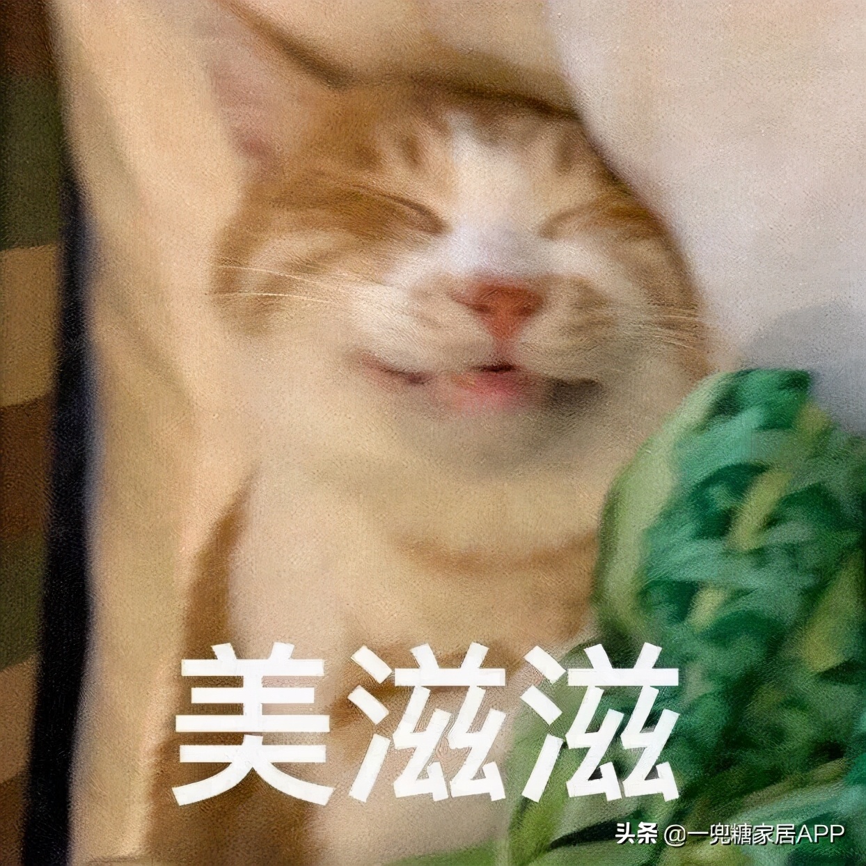 闲鱼上很多新品比拼多多还便宜,闲鱼比拼多多便宜