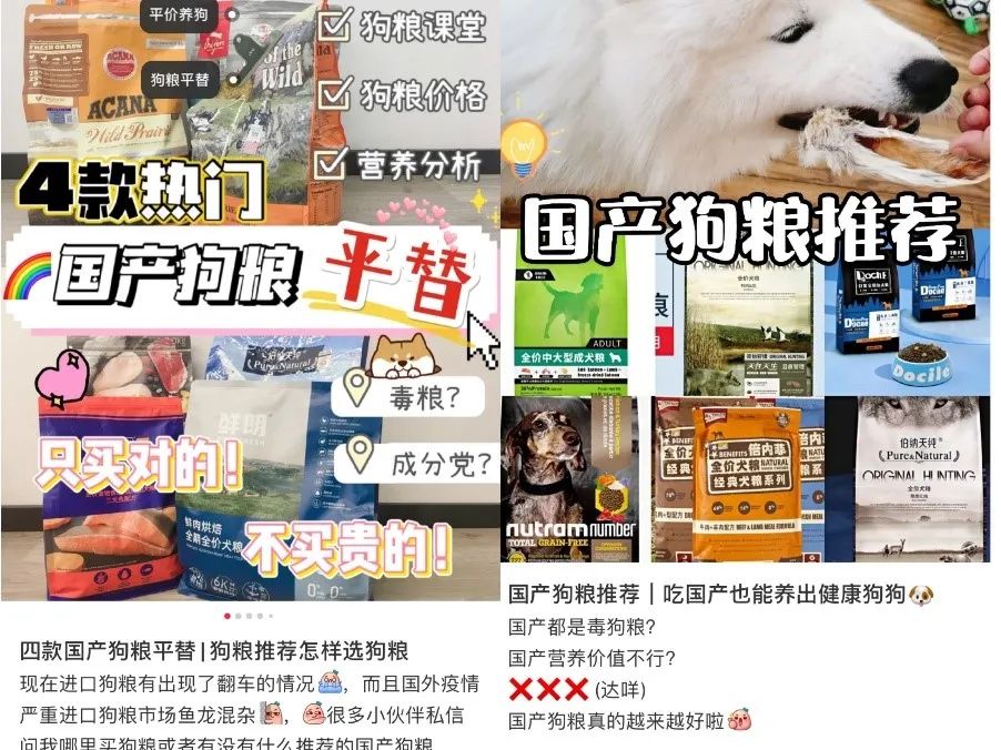 铲屎官不喜欢别人摸他的猫,铲屎官背后的无奈