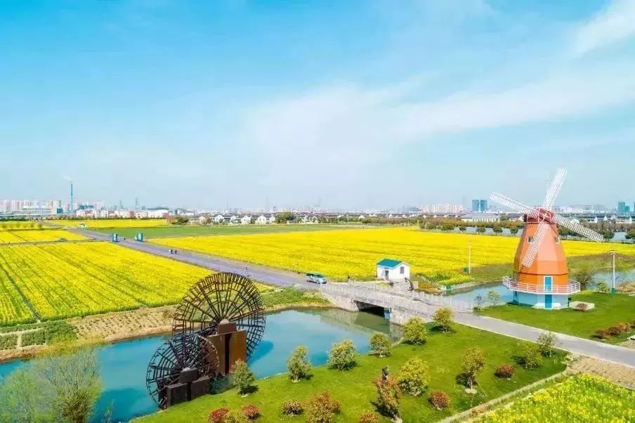 苏州赏花推荐景点有哪些,苏州赏花踏青攻略