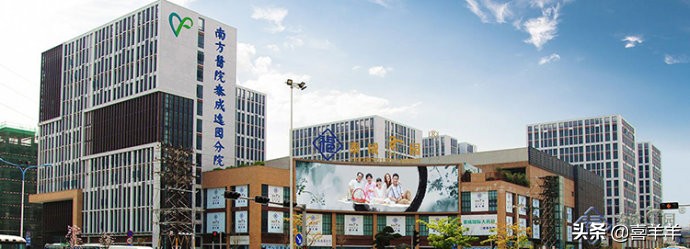 广州海珠区医养结合养老院一览表,广州好的养老院收费标准价目表