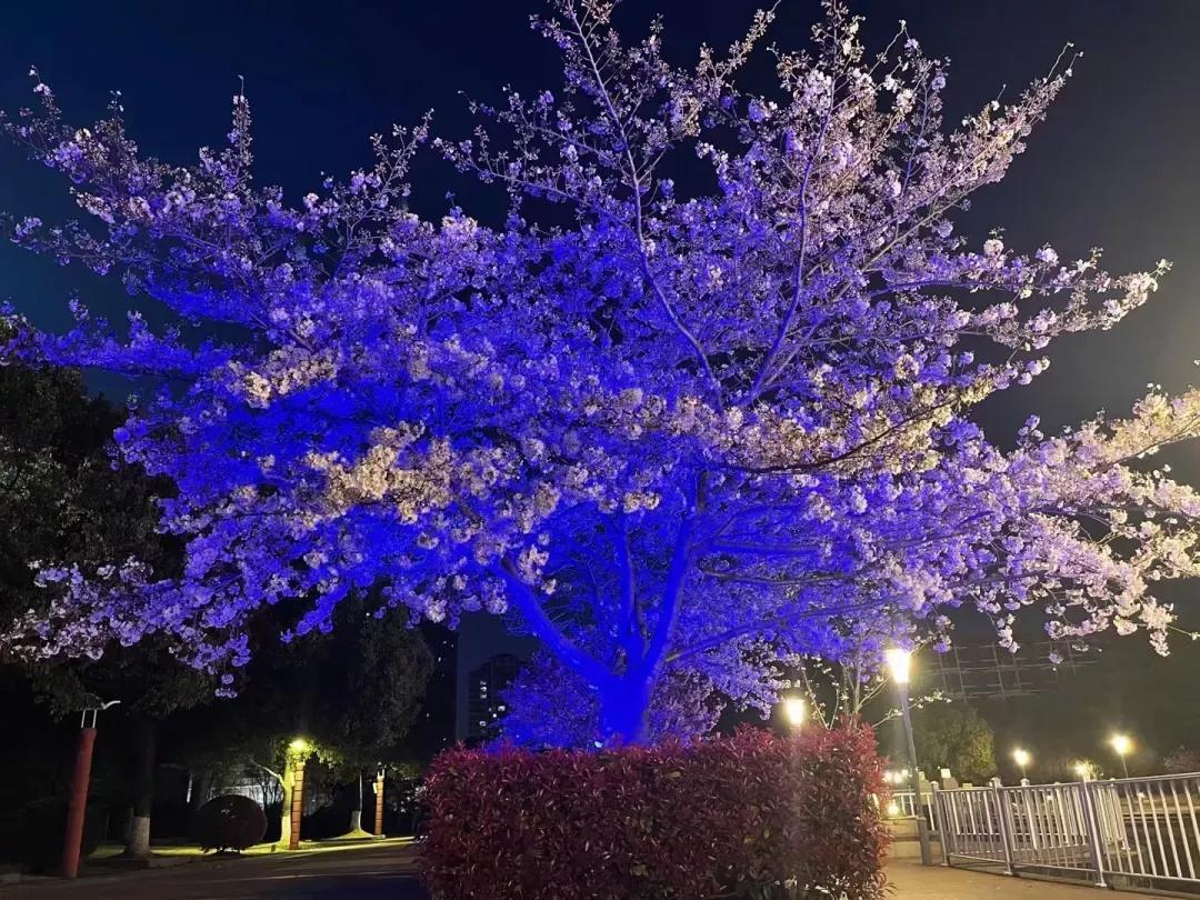 江苏省五星级高中(四)江苏省锡山高级中学