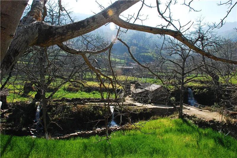 探寻世外桃源,凤庆滇红茶景区