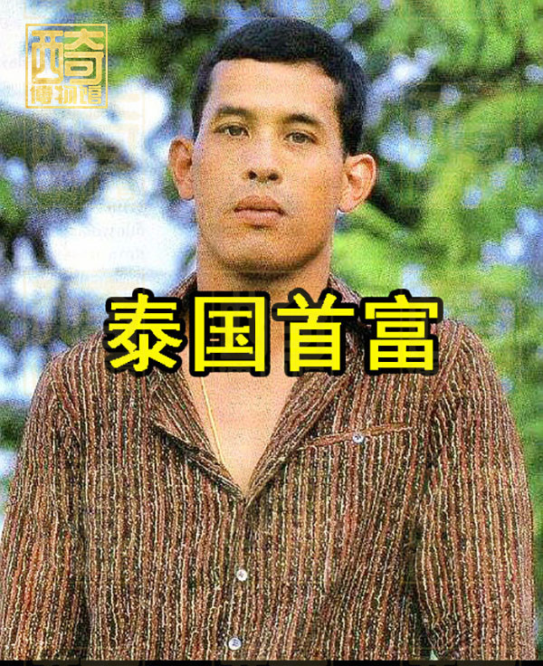 泰王玛哈飞机起飞,泰王玛哈有多少车