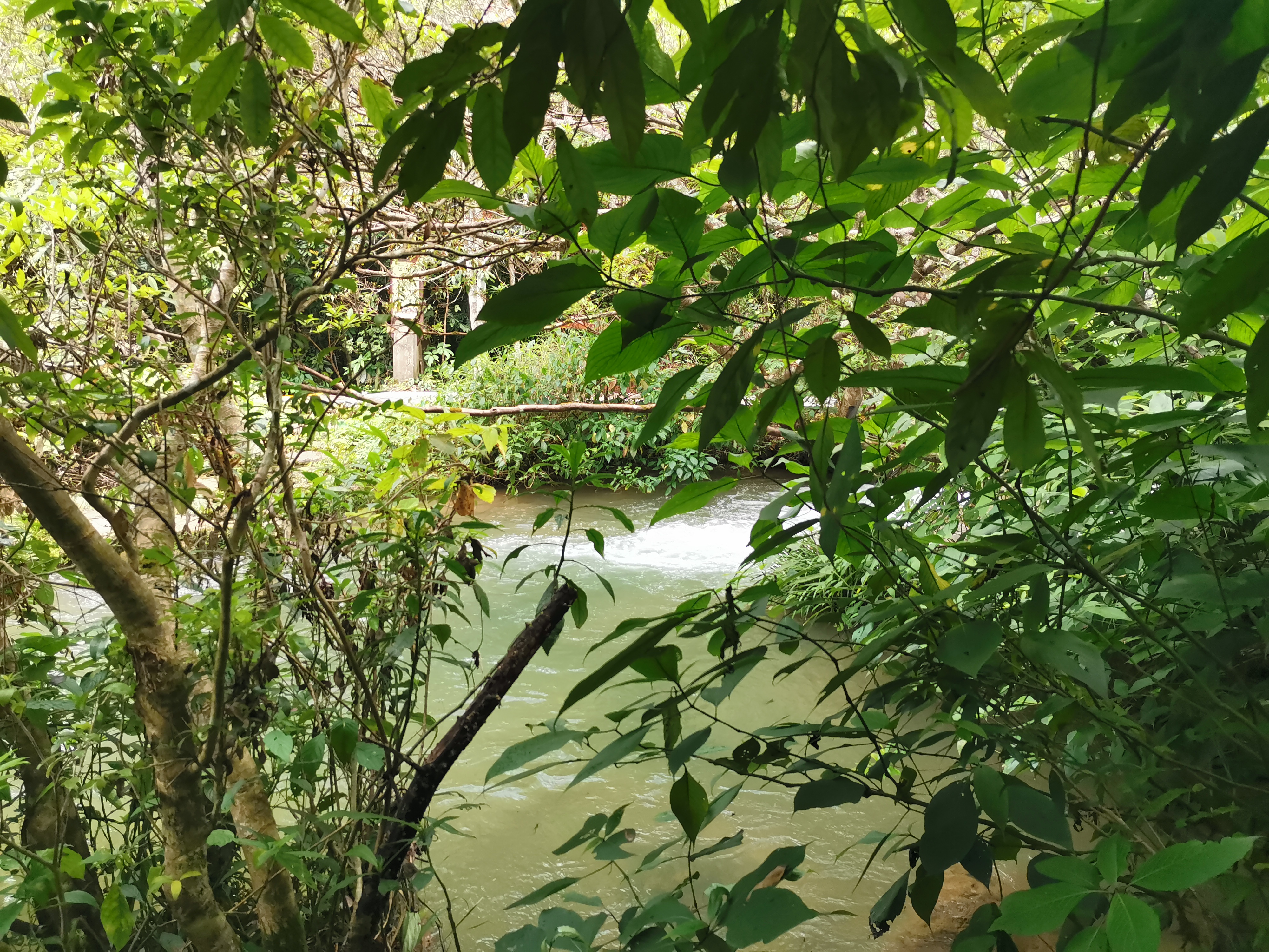 *疆新**笔记：沙湾·红酒公园·再进南山