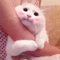 唱歌跑调怎么快速学会一首歌,唱歌跑调的正确手法