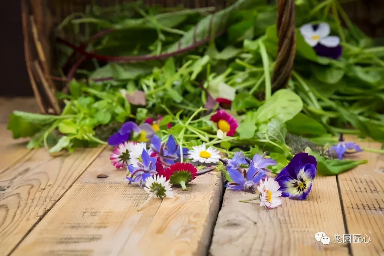 可以食用的花可制作的美食,100种可食用花的做法