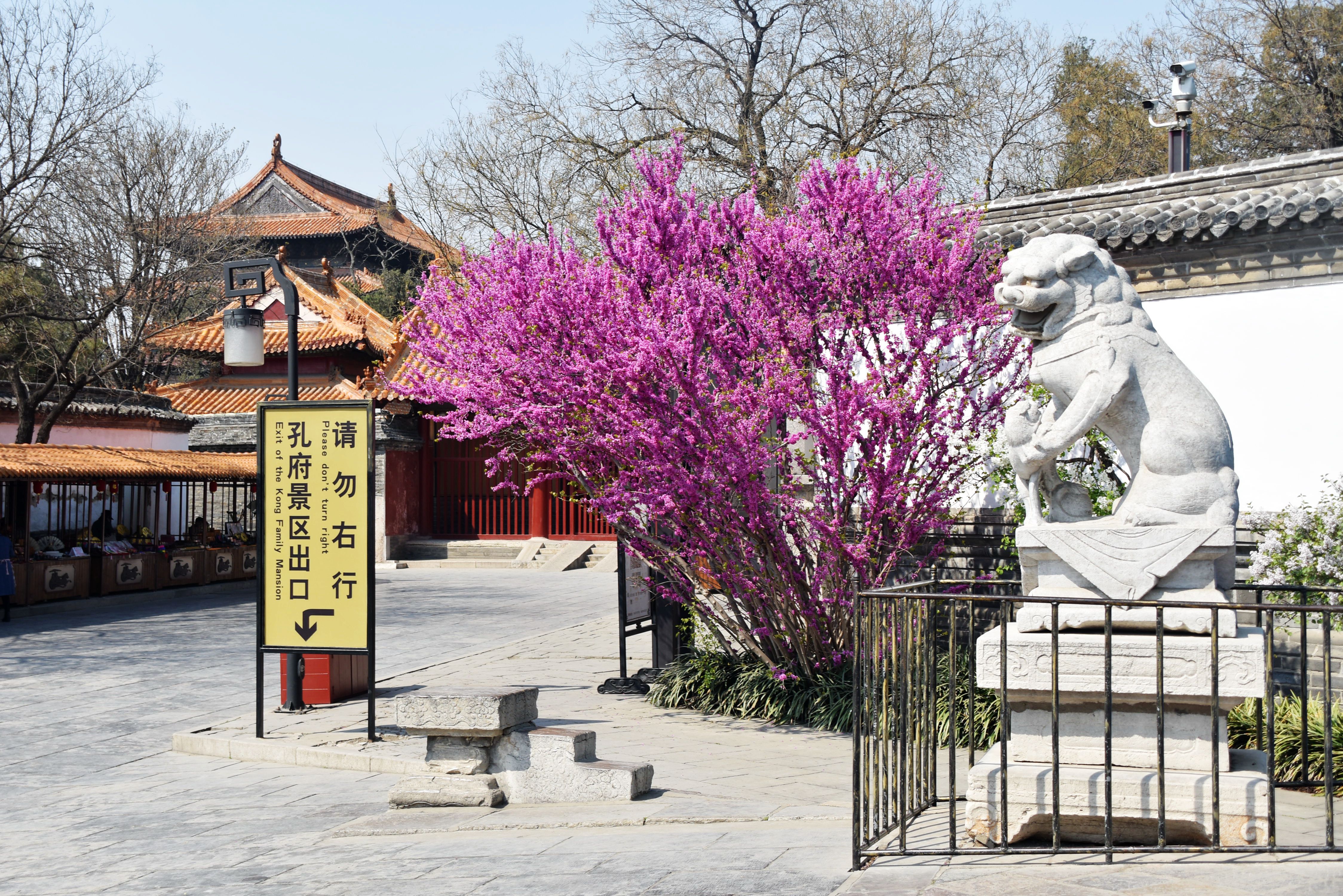 孔府里有一幅《戒贪图》，大义凛然，用心良苦，大家知道吗？