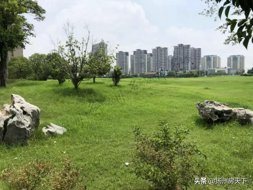 扬州东区高中规划,扬州最近有哪些大型商场即将开业