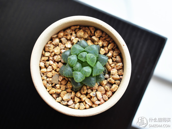 只选一只人像定焦镜头推荐,为什么专业摄影师都喜欢定焦镜头