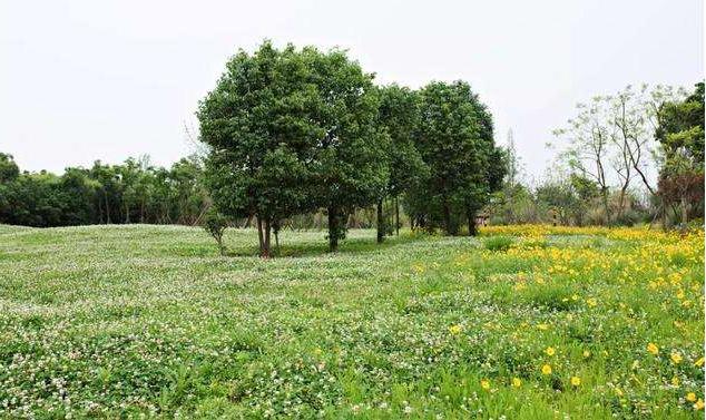 成都二环内10大公园,成都二环东湖公园