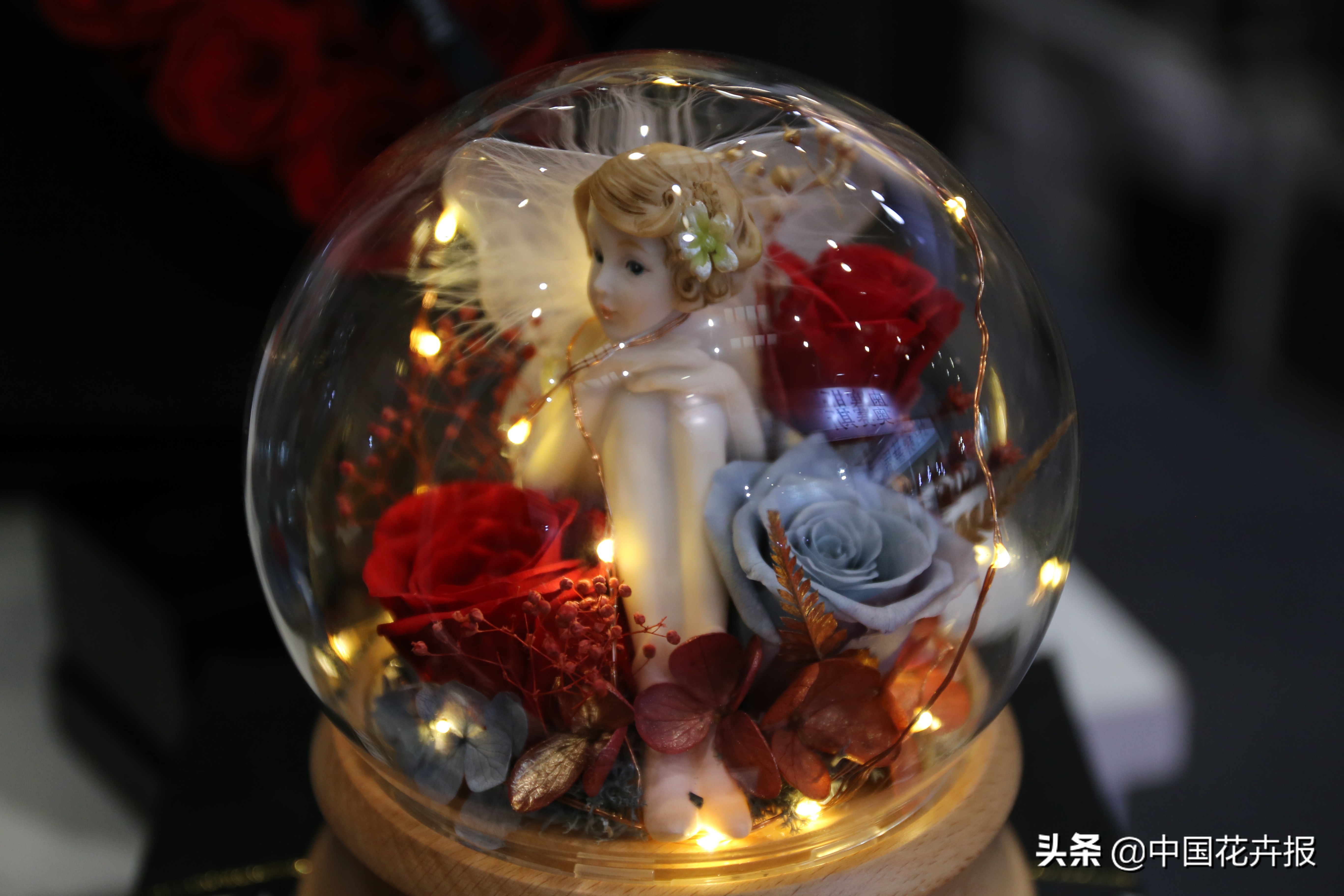 什么是永生花,野兽永生花为什么这么贵