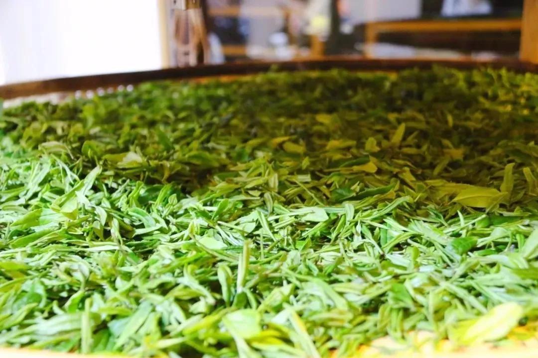 浙江茶艺师培训：全国一二级茶艺师培训班招生，各等级长年报名中