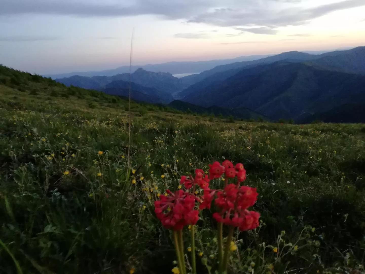 山西避暑游最佳地方,山西避暑胜地有哪些旅游攻略