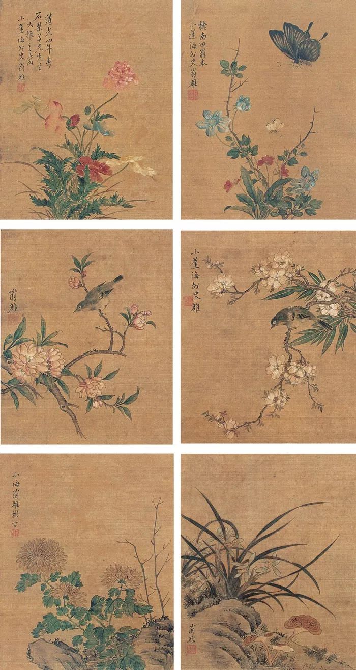 清代花鸟鱼虫画,清代国画名家花鸟鱼虫