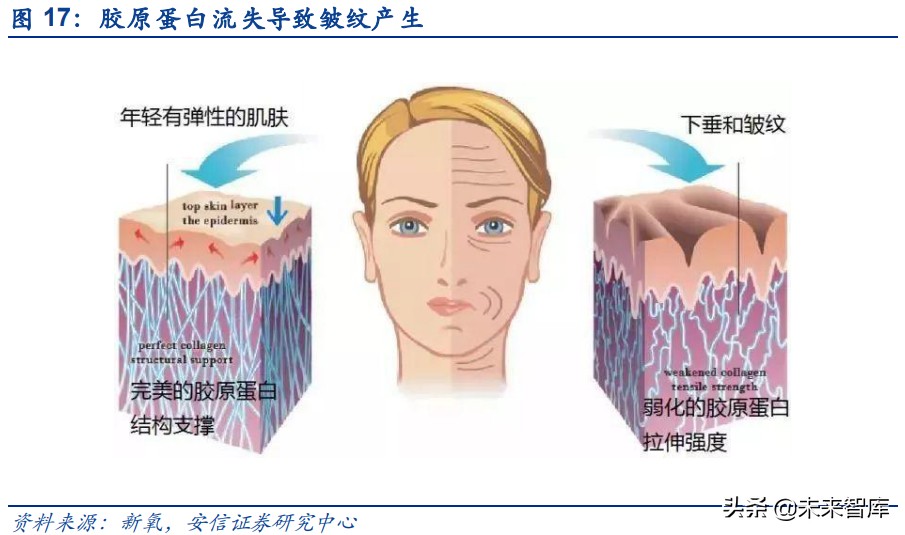 胶原蛋白在大健康行业的应用,胶原蛋白的新材料