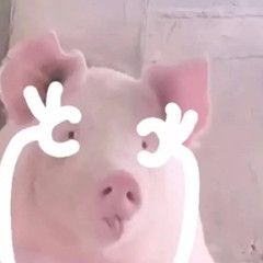 淘宝店铺定级规则,淘宝店铺评级规则