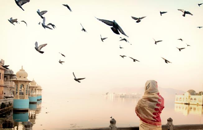 摄影入门构图教程,摄影黄金分割怎么布局