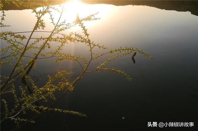 朵拉的主要故事,朵拉故事内容