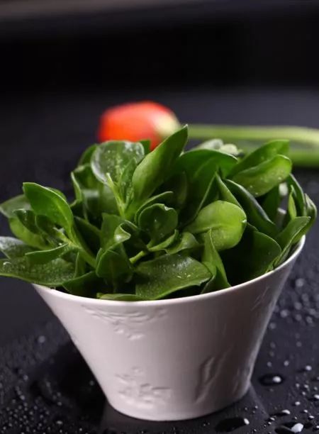 中药不能和饭一起吃但可以做药膳,可以当菜吃的中药