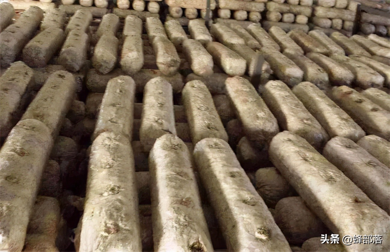 旧木头回收都干什么用,旧木头回收价值