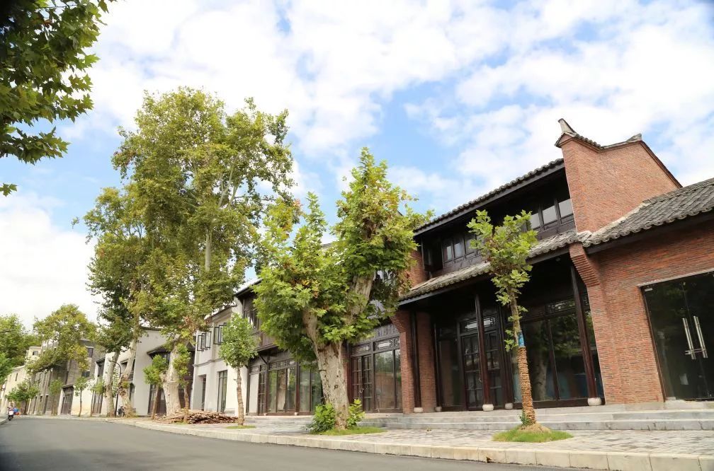 景德镇运势,景德镇五行属什么