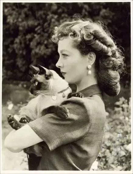 她拥有绝色容颜但得不到真爱,她拥有绝世容颜却是命运坎坷