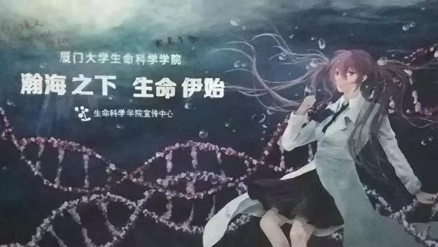 厦大的涂鸦,厦大涂鸦长廊