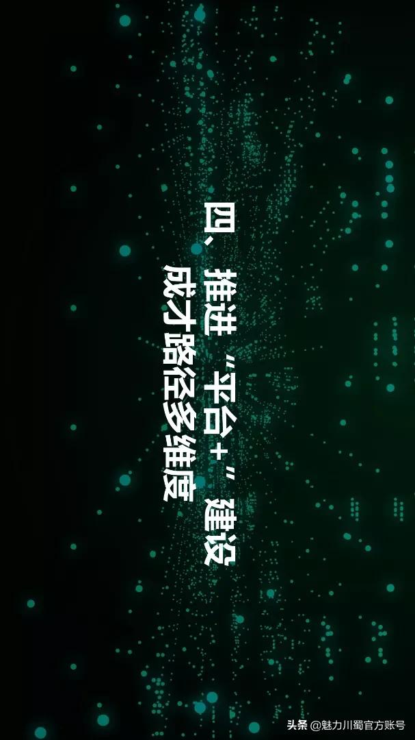 绵阳实验高中2013,绵阳高新实验高中