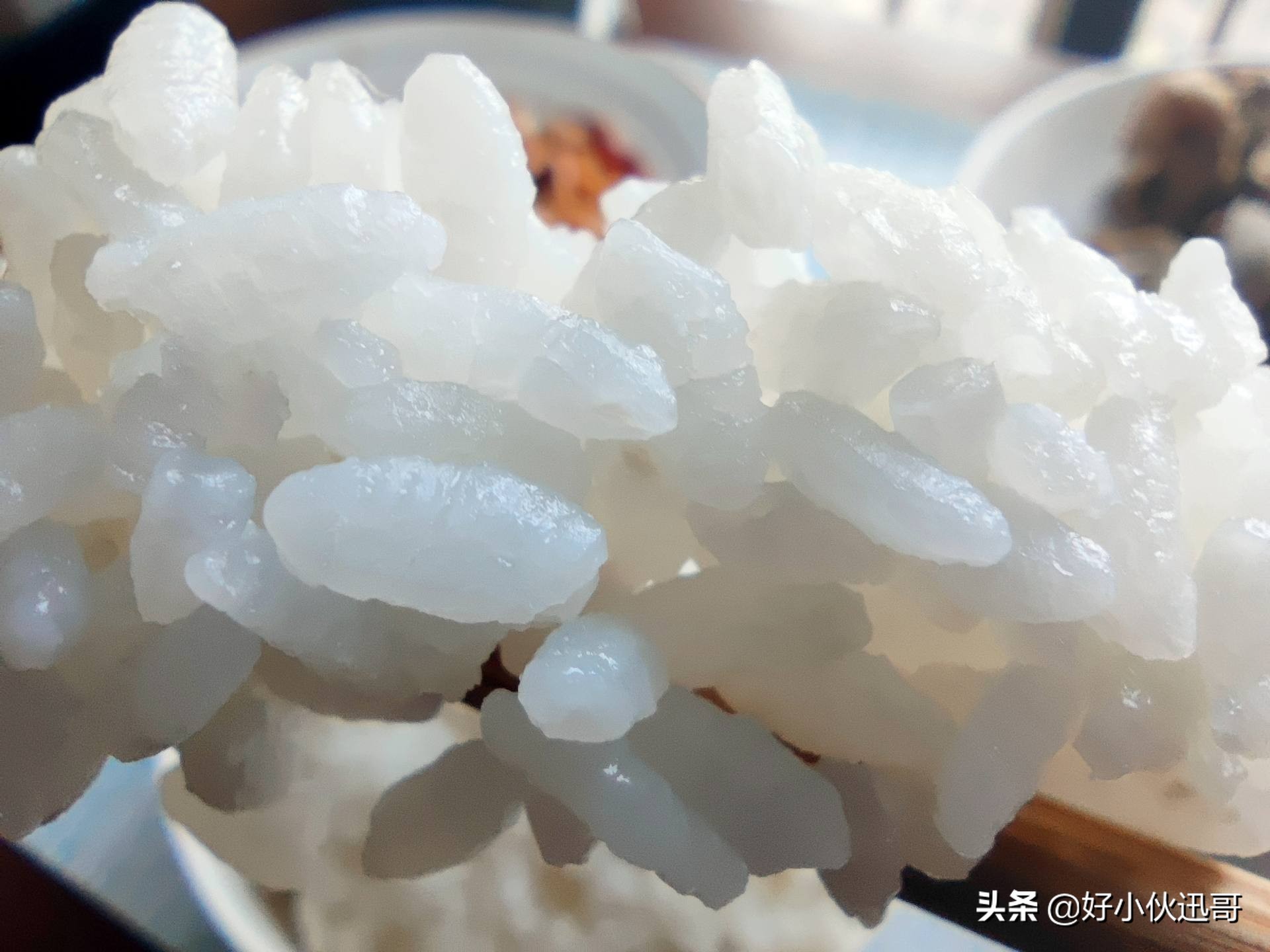 国产电饭煲为什么煮米饭好吃,国产电饭煲哪款煮饭最好吃