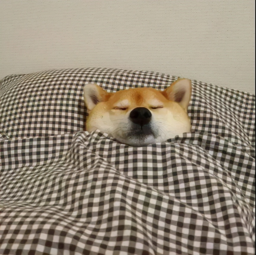 早上起不来？试试做这几件事