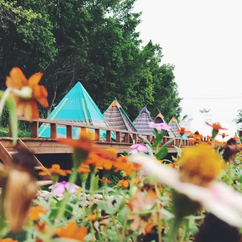 厦门夏令营走进大自然活动,厦门广电研学夏令营