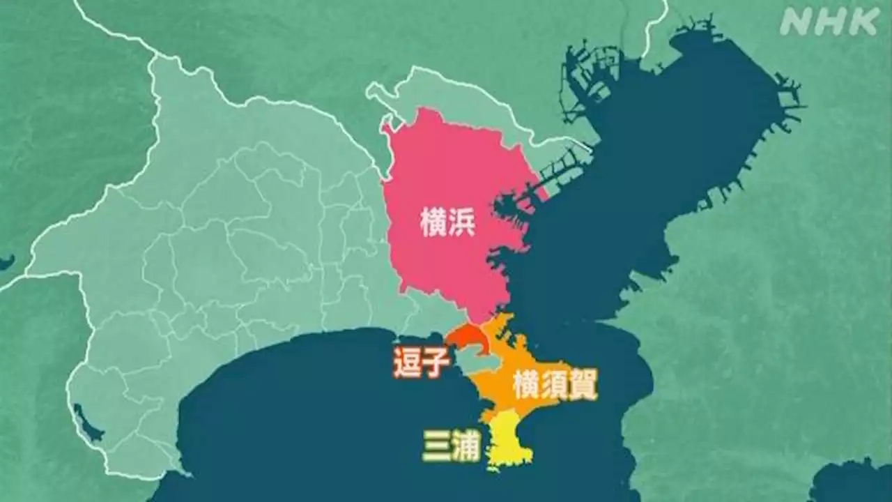 日本是不是真的鱼群大量死亡,日本近海大量鱼死亡是真的吗