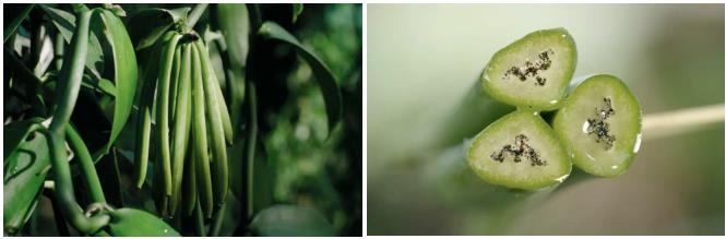38女王节购物必买清单,女王节有哪些值得买