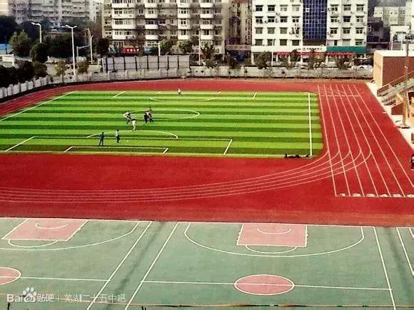 2019芜湖中学,芜湖中学排名榜2019