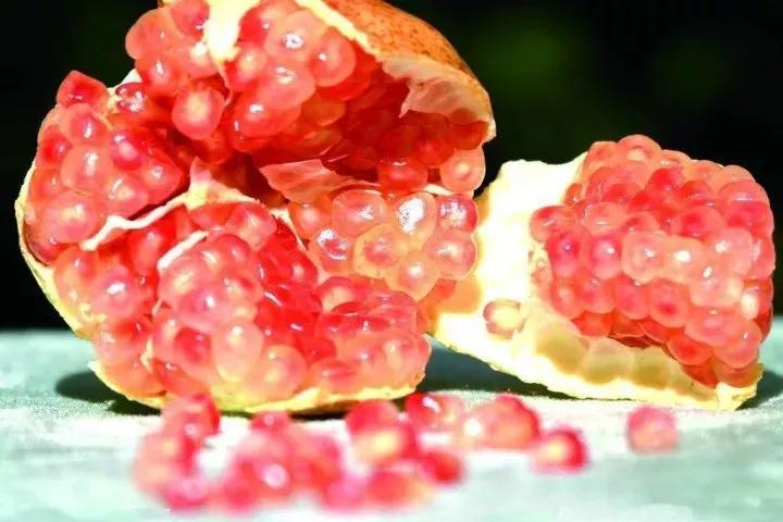 云南蒙自石榴树苗联系电话,云南蒙自石榴树苗出售