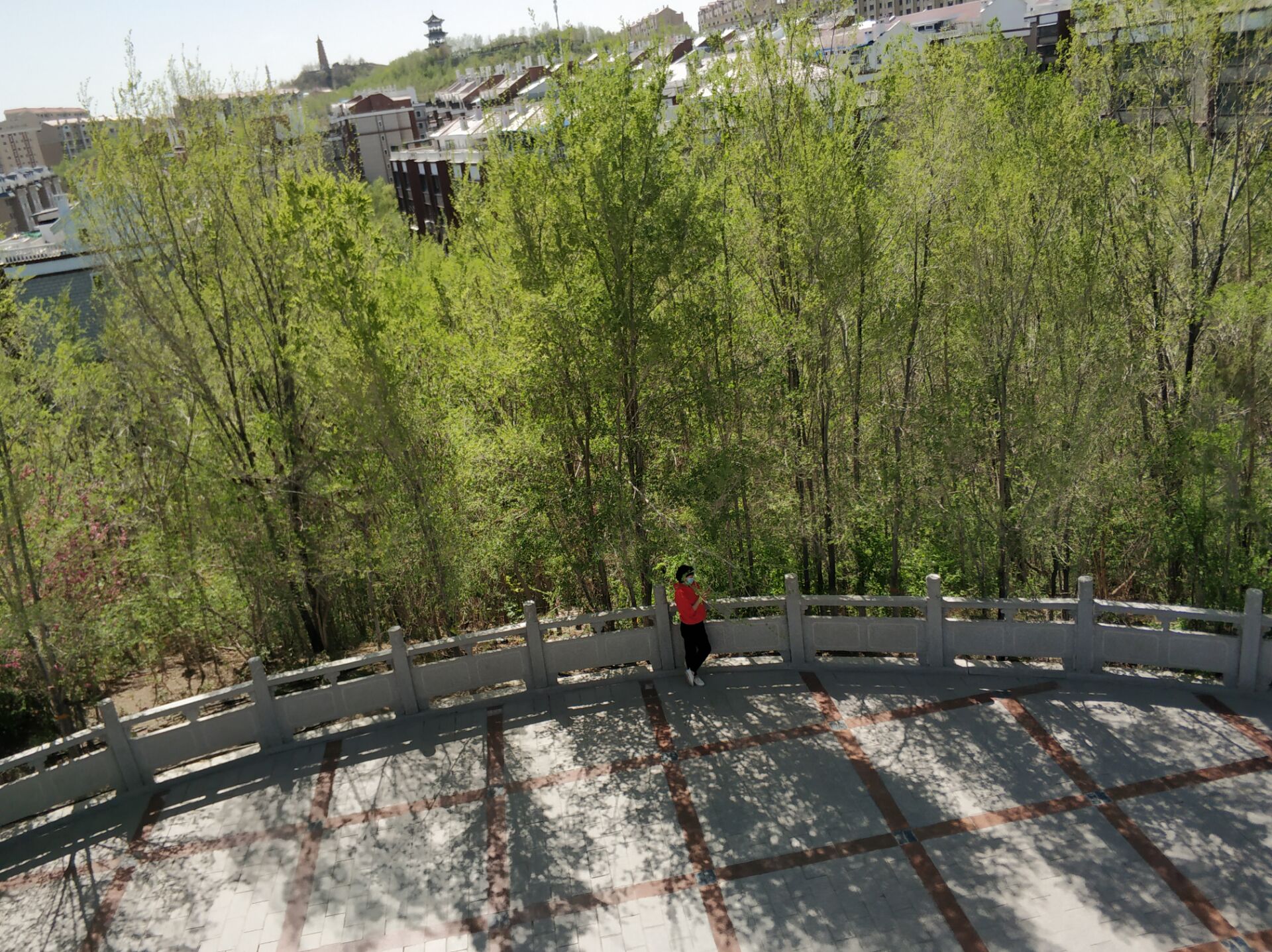 乌鲁木齐居然有这么漂亮的地方,乌鲁木齐周边森林公园在哪里