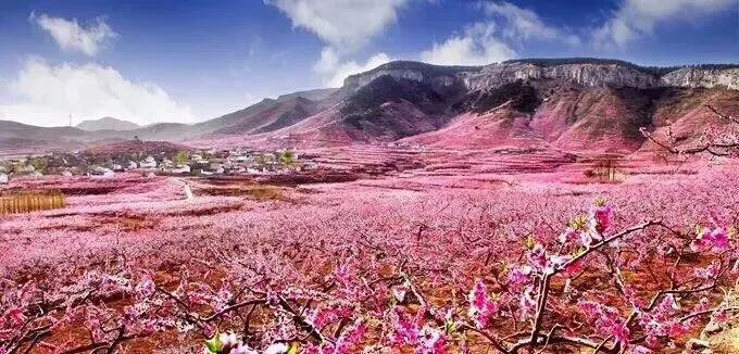 沂蒙山岱崮地貌的形成,沂蒙山的岱崮地貌风景区