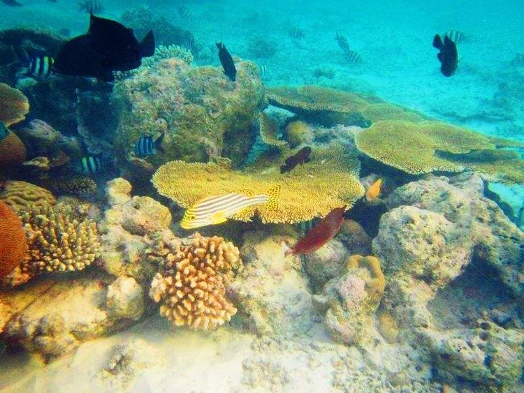 大海里的翡翠一兰卡威岛游记