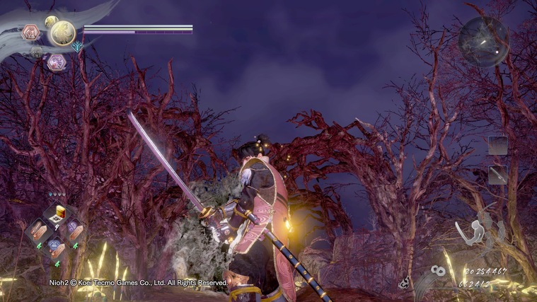 仁王大太刀武功,仁王太刀图片大全