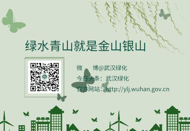 100种野生动物有哪些,野生动物100种