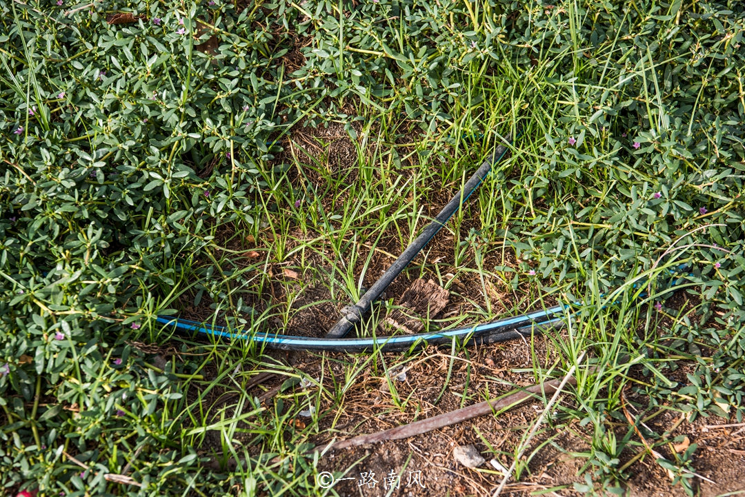 迪拜一望无际大沙漠,中东沙漠明珠迪拜