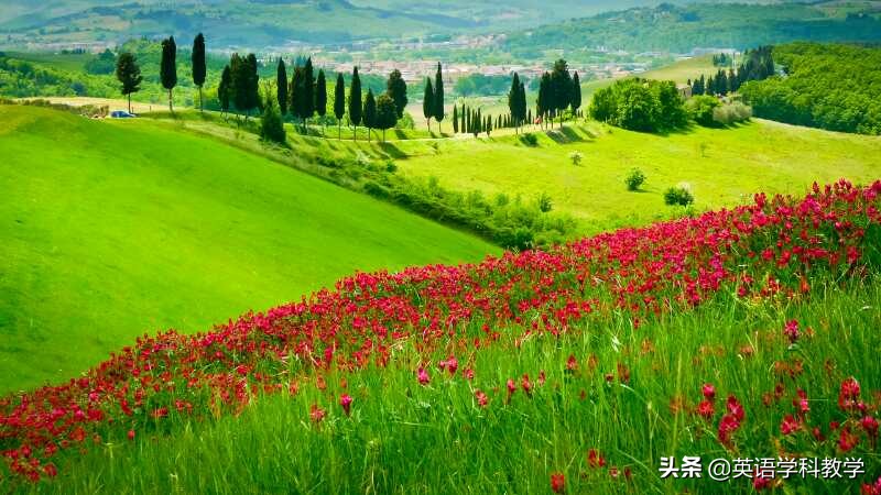 英语单词catch的翻译,英语单词read趣味理解