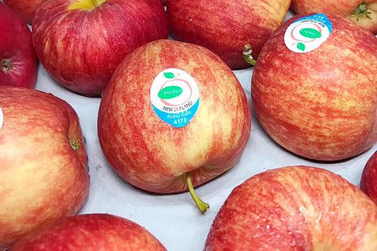 来自新西兰的嘎啦小苹果，一口就让你难忘