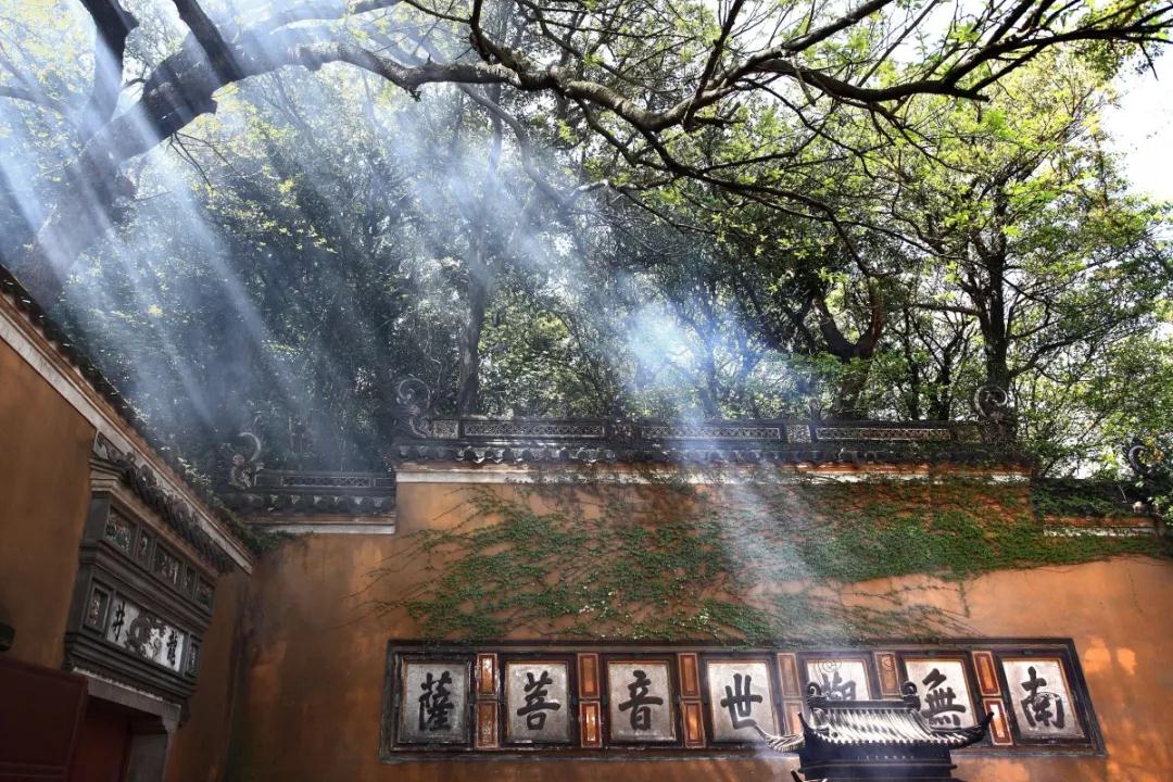 海天一色面朝大海的度假酒店推荐,普陀山岛上海景酒店推荐第一名