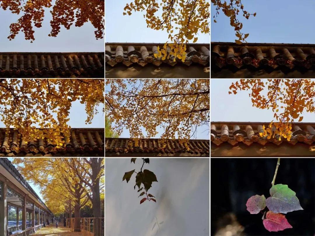 第二届中国摄影作品展,每周摄影作品展第二期