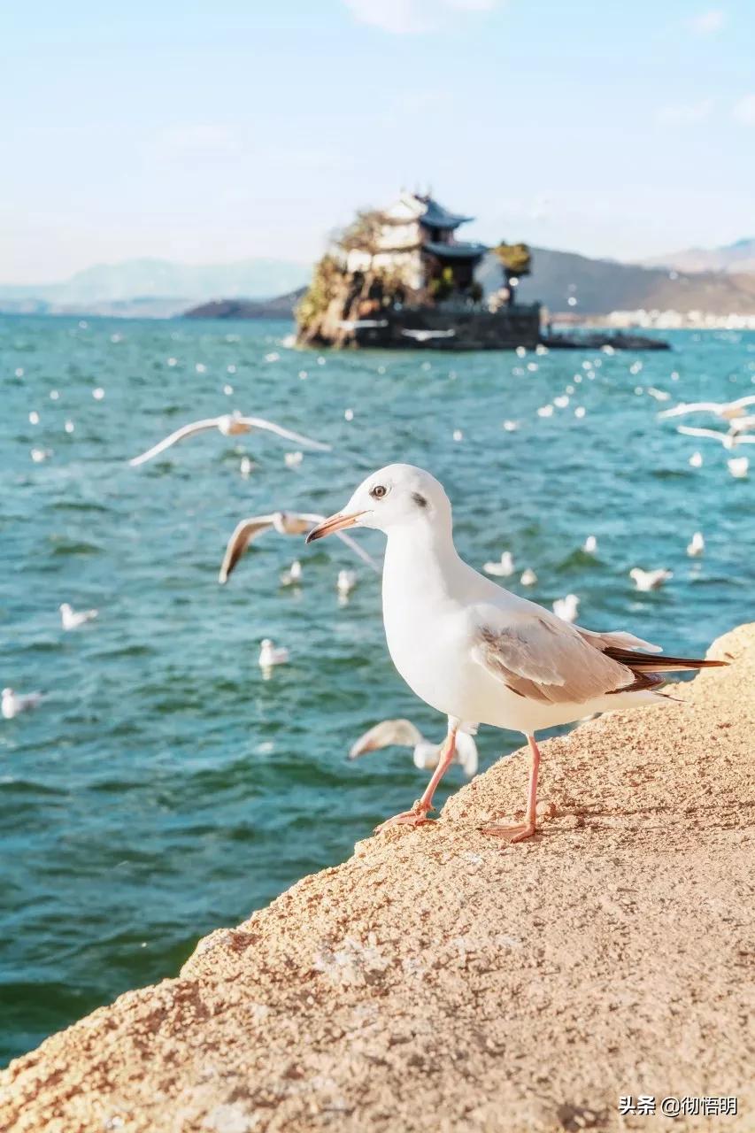 全世界最美50处旅游景点,全球公认世界最美的10个地方